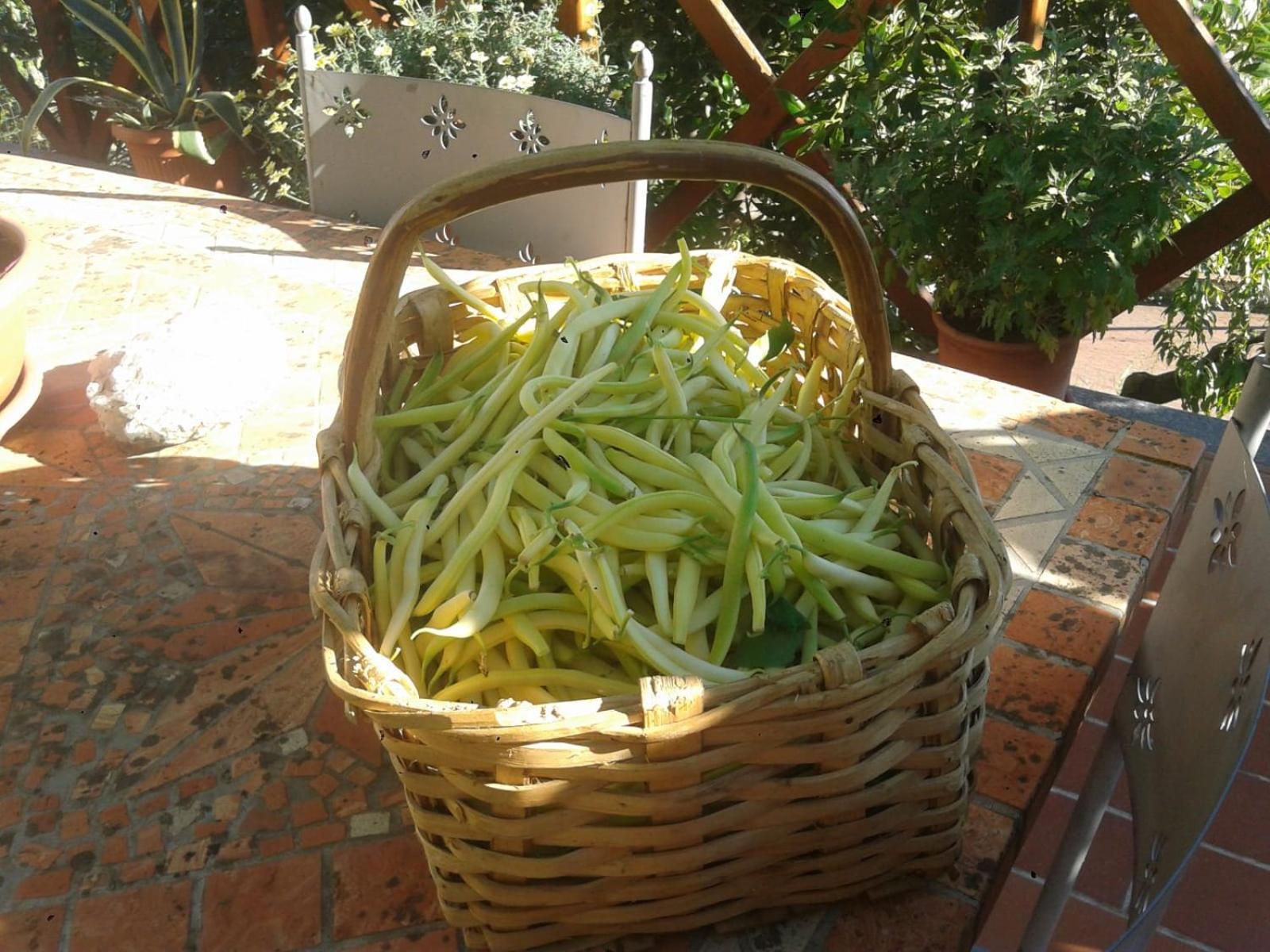 Agriturismo Caruggiu Di Via Vecchia Orco Feglino Zewnętrze zdjęcie
