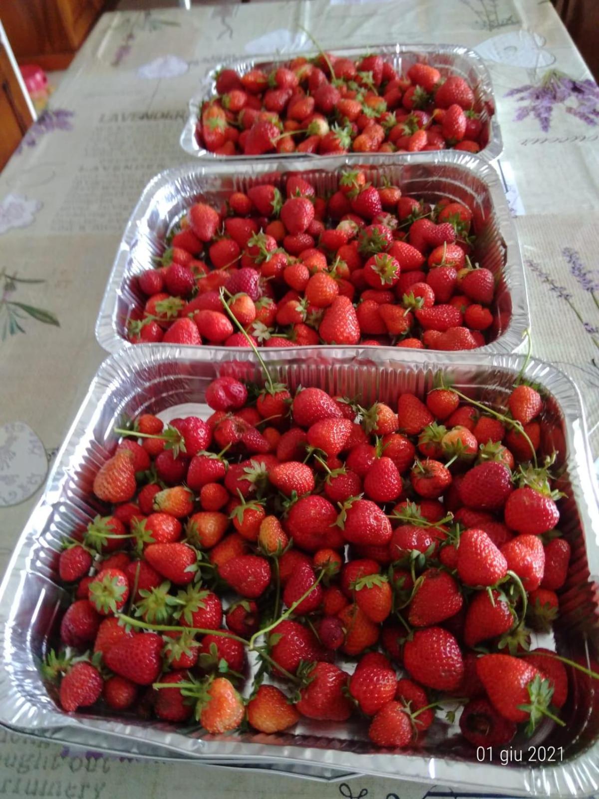 Agriturismo Caruggiu Di Via Vecchia Orco Feglino Zewnętrze zdjęcie